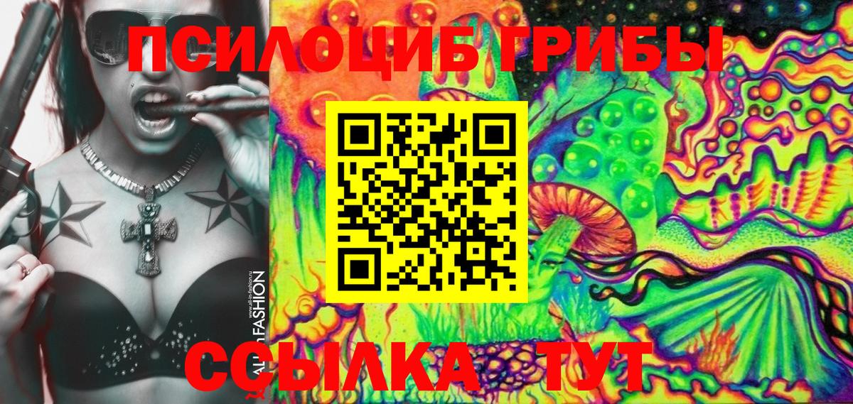 Псилоцибиновые грибы мицелий Шелехов